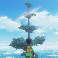 Kaan Tasbas's profile picture