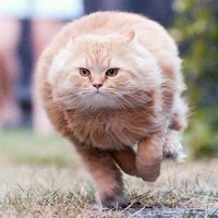 Chen's profile picture