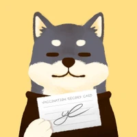 Aymane El Firdoussi's profile picture