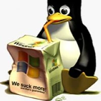 pu's profile picture