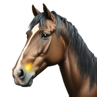 Boris Albar's picture