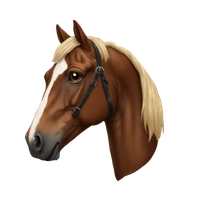 fw's profile picture