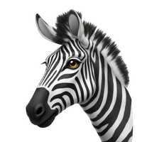 dis-cord's profile picture