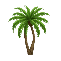 Chikako Imaki's profile picture