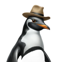 Xinyan He's profile picture