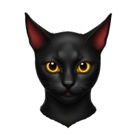 daniel's profile picture