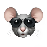 Sam Jain's profile picture