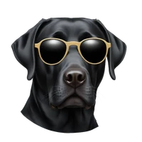 Sai Shruthi Balaji's profile picture