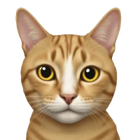 Zhang's profile picture