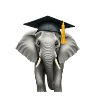 Friso Harlaar's profile picture