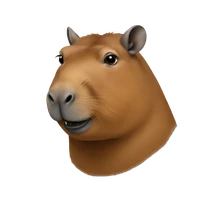 Sijin Hu's profile picture