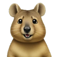 Semin Kim's profile picture