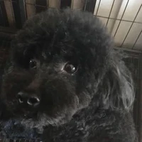 Chen's profile picture