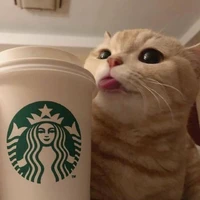 Oscar García Gómez's profile picture