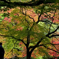 acasanovas's profile picture