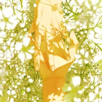 ginkgowm's profile picture