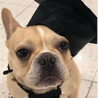 Umesh Maharjan's profile picture