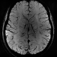 Xiaoyang Han's profile picture